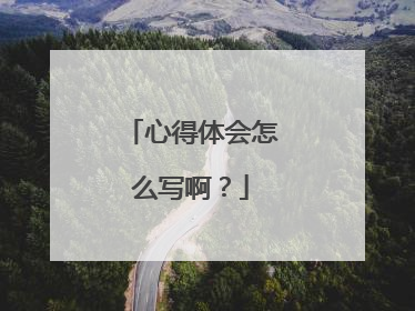 心得体会怎么写啊？