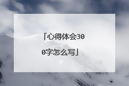 心得体会300字怎么写