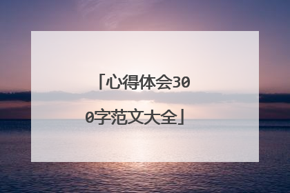 心得体会300字范文大全