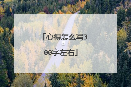 心得怎么写300字左右