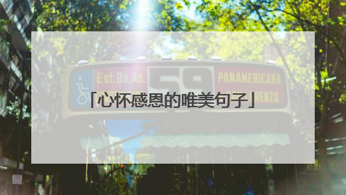 心怀感恩的唯美句子