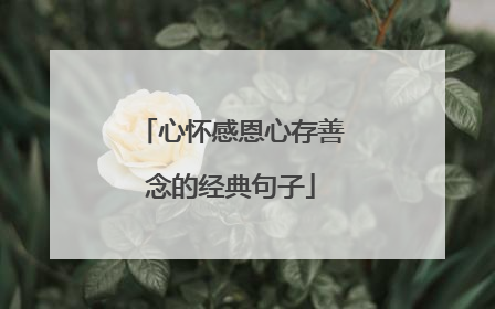 心怀感恩心存善念的经典句子