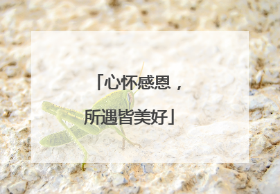 心怀感恩,所遇皆美好