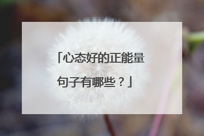 心态好的正能量句子有哪些？