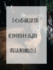 心态就是我们对待什么的看法和观点