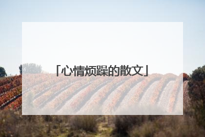 心情烦躁的散文