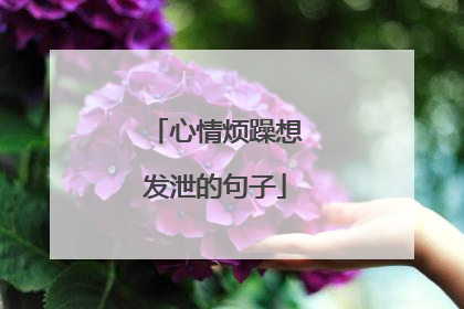 心情烦躁想发泄的句子