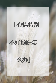 心情特别不好烦躁怎么办