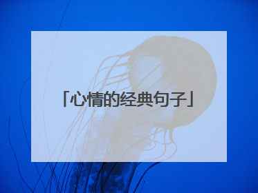 心情的经典句子