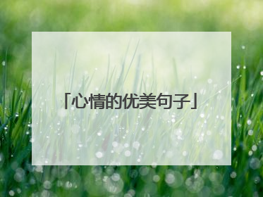心情的优美句子