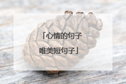 心情的句子唯美短句子
