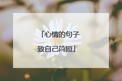 心情的句子致自己简短