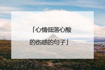 心情低落心酸的伤感的句子
