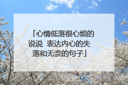 心情低落很心烦的说说 表达内心的失落和无奈的句子
