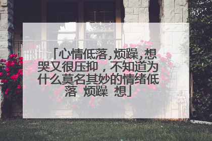 心情低落,烦躁,想哭又很压抑,不知道为什么莫名其妙的情绪低落 烦躁 想
