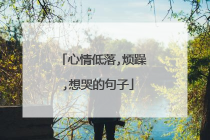 心情低落,烦躁,想哭的句子