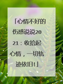 心情不好的伤感说说2021:收拾起心情,一切轨迹依旧!