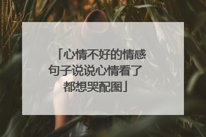 心情不好的情感句子说说心情看了都想哭配图
