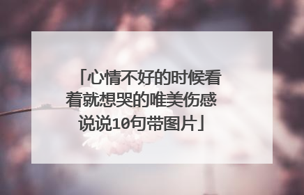 心情不好的时候看着就想哭的唯美伤感说说10句带图片