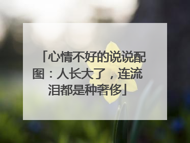 心情不好的说说配图:人长大了,连流泪都是种奢侈