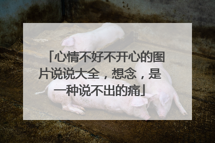 心情不好不开心的图片说说大全,想念,是一种说不出的痛