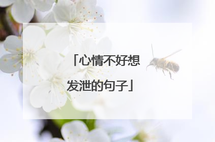 心情不好想发泄的句子