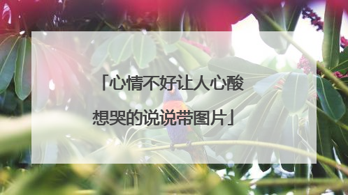 心情不好让人心酸想哭的说说带图片