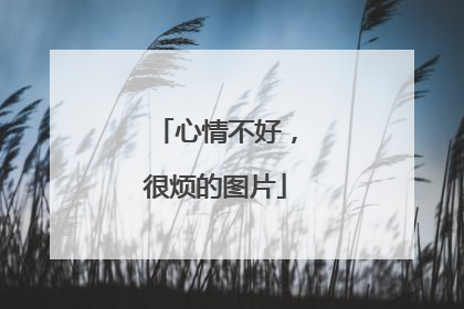 心情不好,很烦的图片