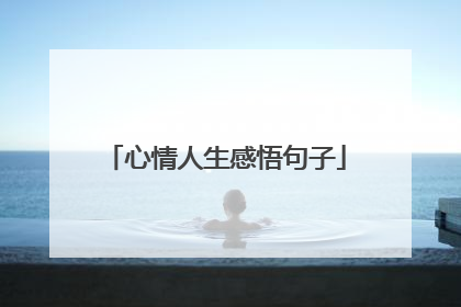 心情人生感悟句子