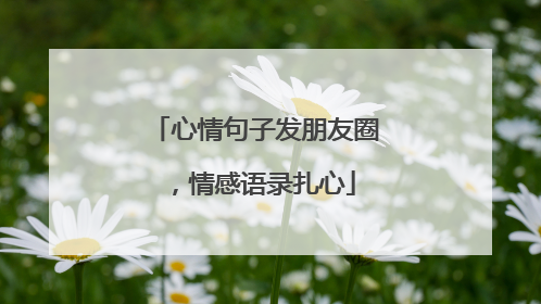 心情句子发朋友圈,情感语录扎心