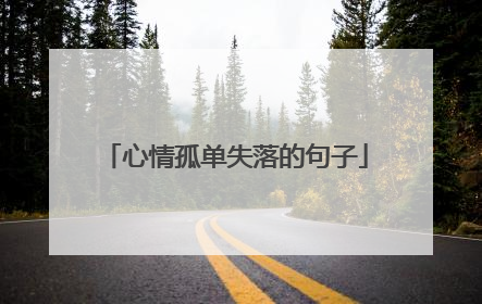心情孤单失落的句子