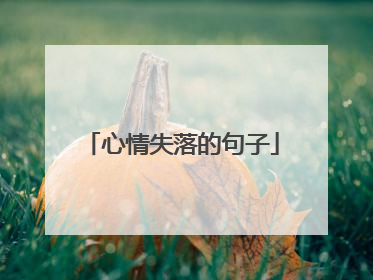 心情失落的句子
