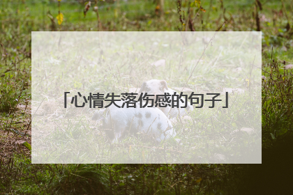 心情失落伤感的句子
