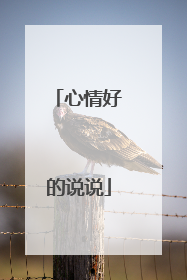 心情好的说说