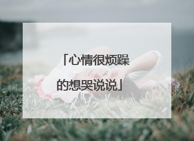 心情很烦躁的想哭说说