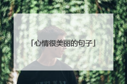 心情很美丽的句子