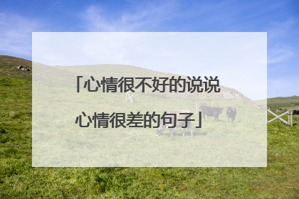 心情很不好的说说心情很差的句子