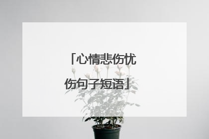 心情悲伤忧伤句子短语