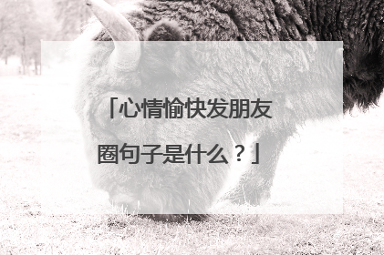 心情愉快发朋友圈句子是什么?