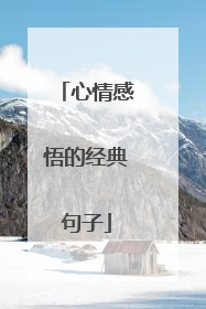 心情感悟的经典句子