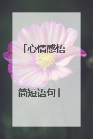 心情感悟简短语句