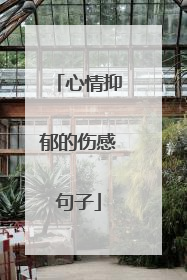 心情抑郁的伤感句子