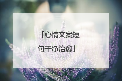 心情文案短句干净治愈