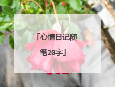 心情日记随笔20字