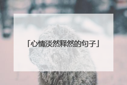 心情淡然释然的句子