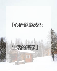 心情说说感悟生活的语录