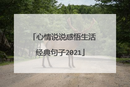 心情说说感悟生活经典句子2021
