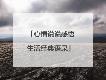 心情说说感悟生活经典语录