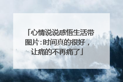 心情说说感悟生活带图片:时间真的很好,让痛的不再痛了