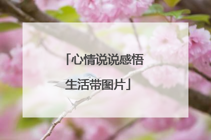 心情说说感悟生活带图片